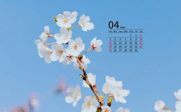 4月份中班月总结8篇