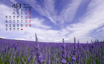 4月中班月总结6篇