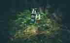 5月活动总结参考7篇