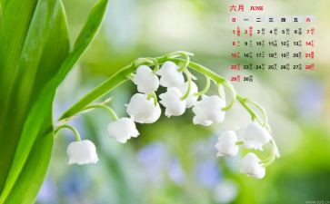 2024幼儿园6月计划8篇