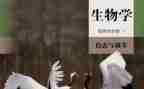 初一生物教师工作计划5篇