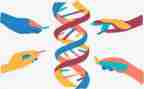八上生物教案参考7篇