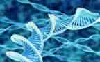 生物微教案7篇