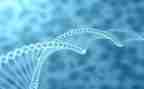 2024年生物工作总结通用8篇