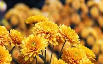 销售八月总结8篇