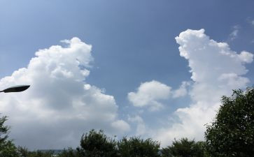 我的变化小作文最新8篇