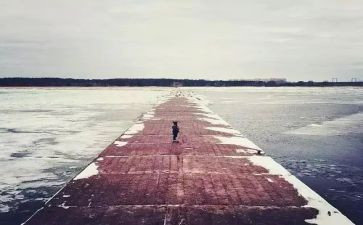 别放弃作文800字模板5篇