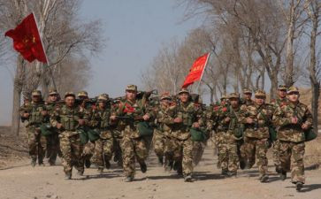 部对述职报告推荐7篇