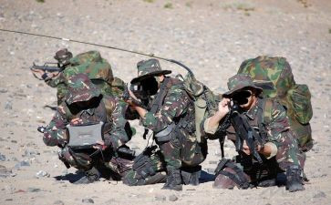 部对述职报告7篇