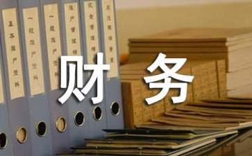2024年财务总结及工作计划参考7篇