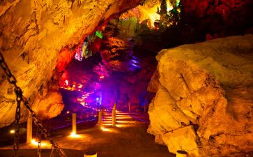 特长生工作总结5篇