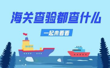 查验接种证工作总结6篇