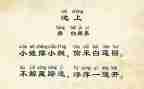 池上读后感300字优质5篇