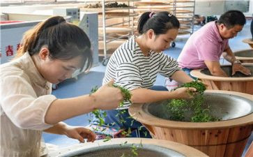 师带徒师傅心得体会通用6篇