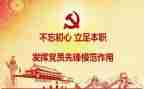 2024年党年度工作计划模板5篇
