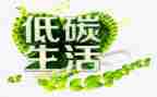 低碳活动总结参考8篇