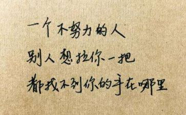 我读懂了母爱作文600字作文精选8篇