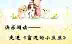 豆豆读后感推荐6篇