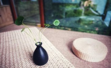 读懂父母心作文通用5篇