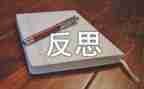 活动的总结反思优质6篇