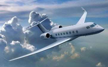 飞机和鸟教案5篇