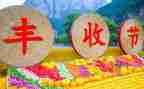 丰收节的作文5篇