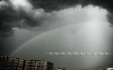 风雨哈佛路读后感6篇