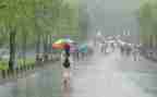 风雨集的读后感7篇