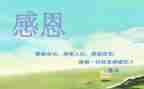 感恩演讲稿650推荐6篇