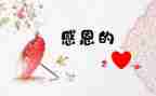 很感激他作文优质5篇