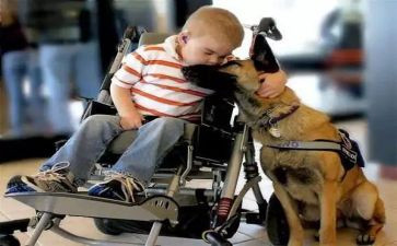 感人的记叙作文7篇