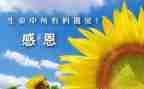 对老师的感谢作文精选5篇