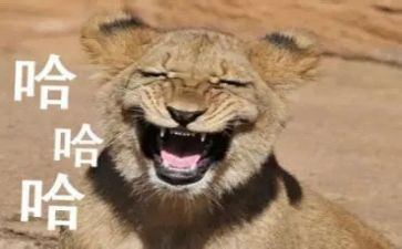 搞笑的小作文参考8篇