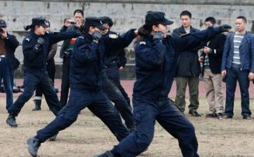 公安工作调研报告6篇