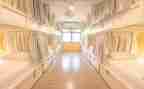 幼儿园合宿活动总结参考5篇