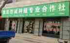 合作社调研报告8篇