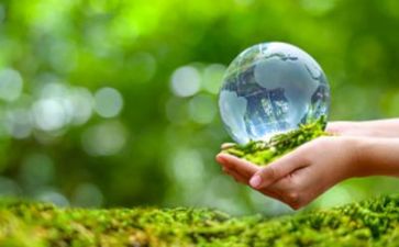 环保之星的事迹优质8篇