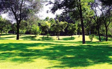 环境的心得模板8篇