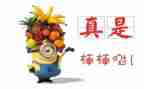部队班嘉奖主要事迹8篇