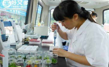 检测月总结参考5篇