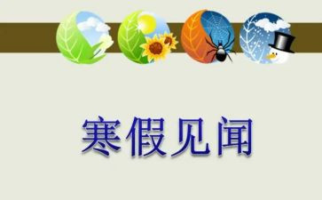 春节见闻作文300字作文5篇