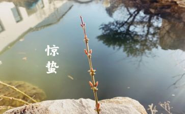 小班惊蛰的教案5篇
