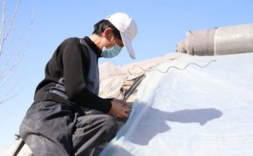 技术上半年总结6篇