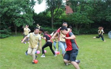 集体活动总结最新5篇