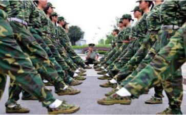 军训800字心得体会优质7篇