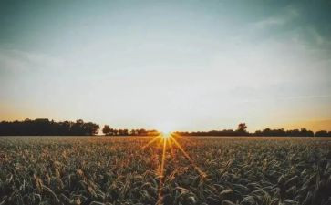 读书的苦与乐优秀作文最新7篇