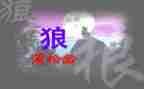 《狼》的读后感600字参考6篇