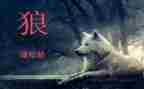 读后感《狼》作文6篇
