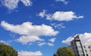 飞向蓝天的恐龙的教学反思7篇