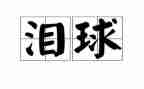 我的眼泪在飞的作文7篇